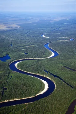  Der Fluss des Lebens! Eine Reise durch Gilvan Gonçalves‘ abstrakte Wasserwelten